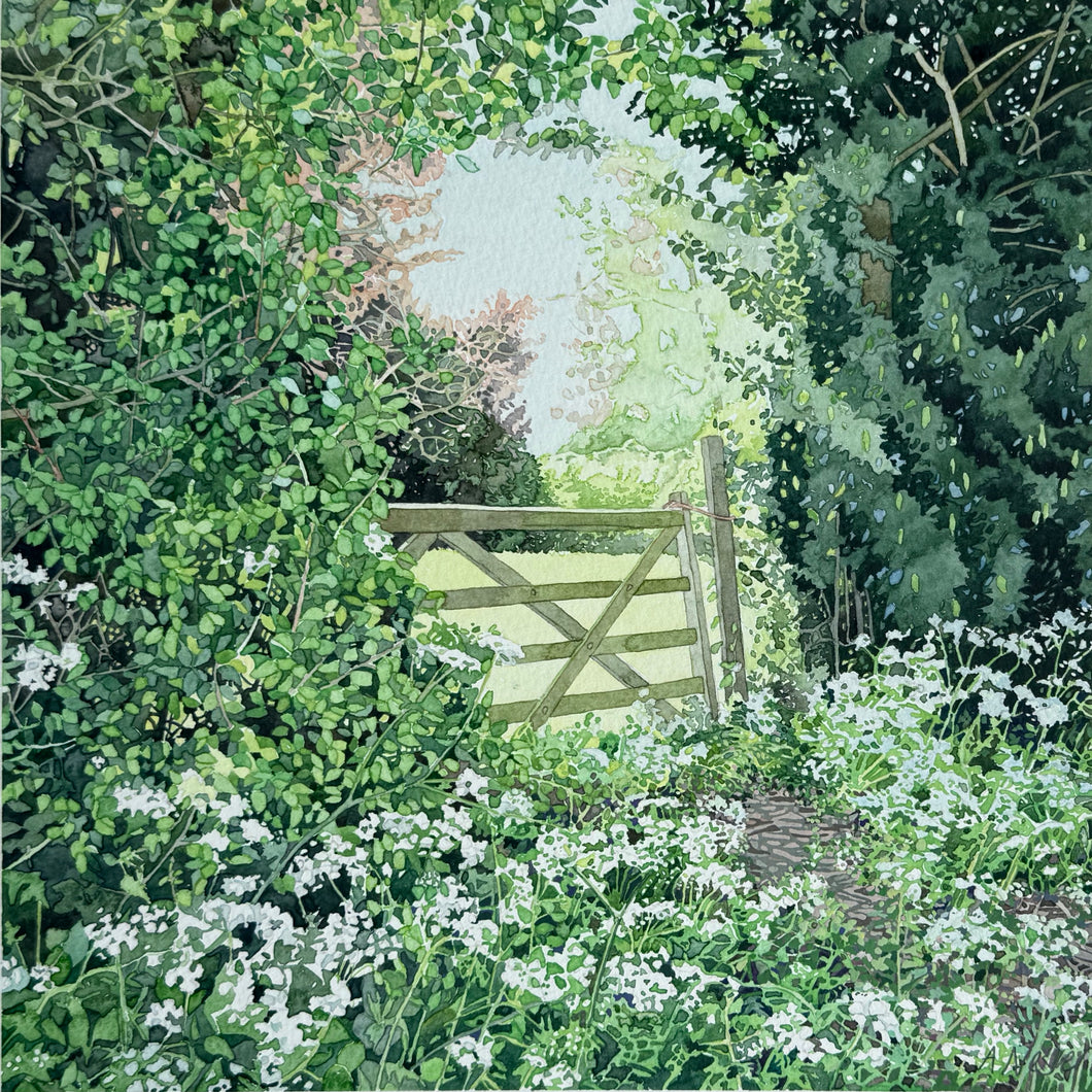 COW PARSLEY - Original Painting