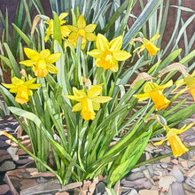 Load image into Gallery viewer, MARCH DAFFS - Original Painting

