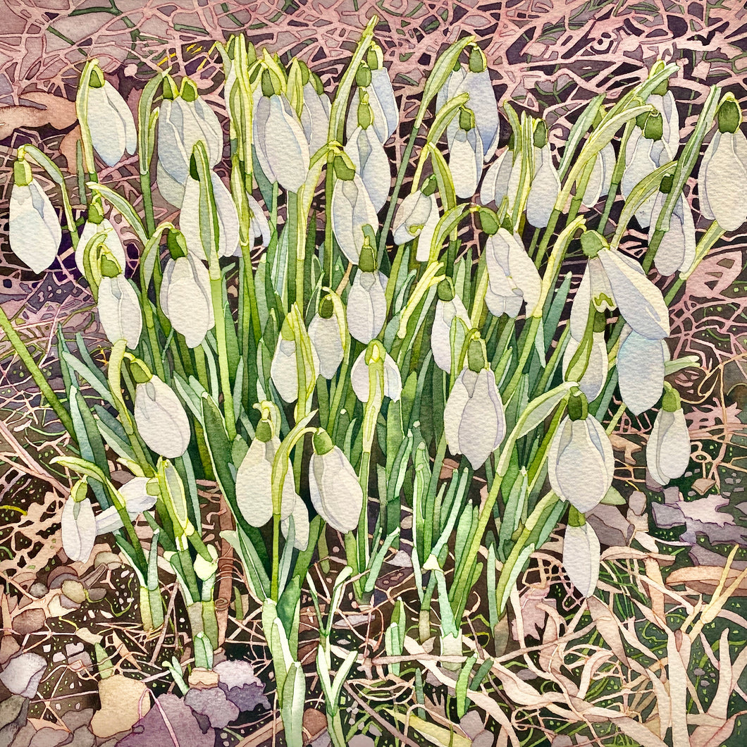 FEBRUARY SNOWDROPS - Greetings Card