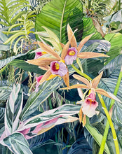 Load image into Gallery viewer, GREATER SWAMP ORCHID, KEW GARDENS - Original Painting
