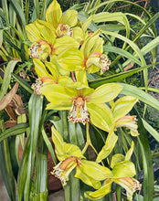 Load image into Gallery viewer, SWAMP ORCHID, KEW GARDENS - Original Painting
