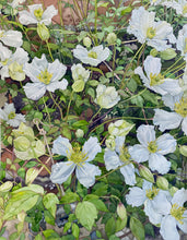 Load image into Gallery viewer, CLEMATIS AT GREYS COURT - Original Painting
