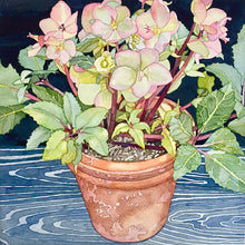 Load image into Gallery viewer, HELLEBORES AT CLIVEDEN - Original Painting
