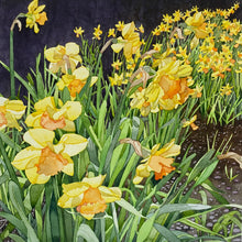 Load image into Gallery viewer, DAFFODILS AT GREYS COURT - Original painting
