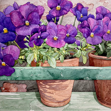 Load image into Gallery viewer, PANSIES IN THE KITCHEN GARDEN - Original painting
