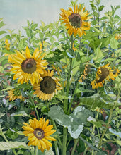 Load image into Gallery viewer, SUNFLOWERS AT CLIVEDEN - Original Painting
