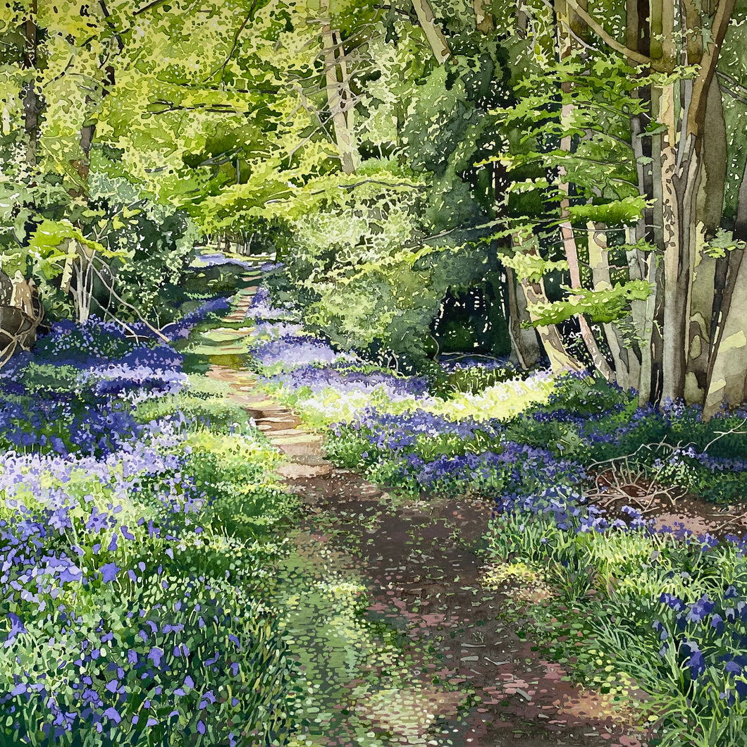 BOTTOM WOOD - THE CHILTERNS Original Painting