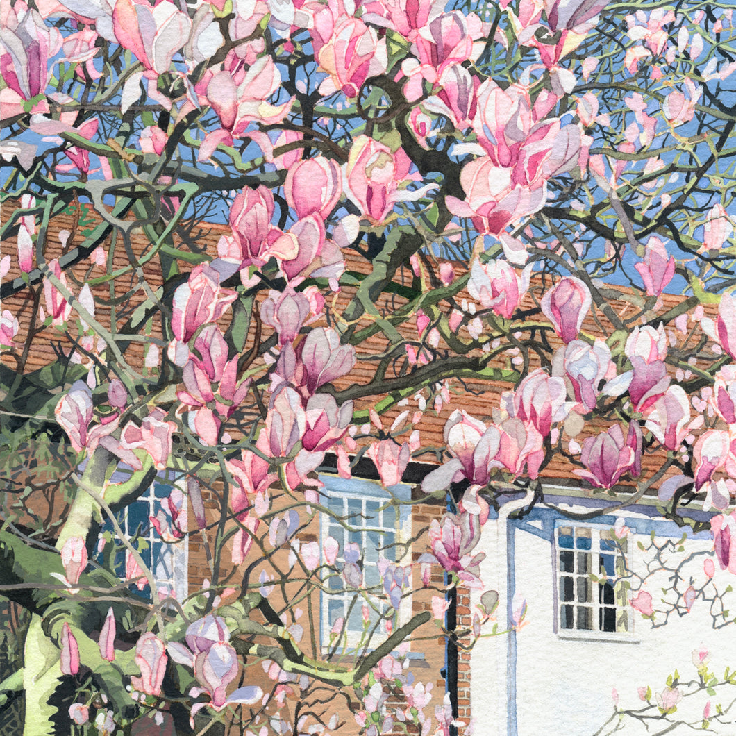 MAGNOLIA - Fine Art print