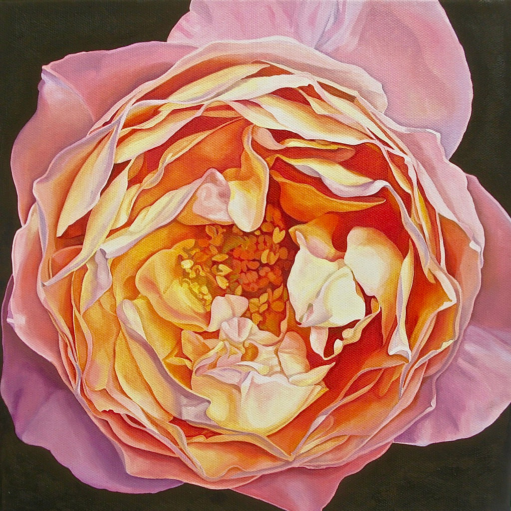 PEACH ROSE - Original Painting