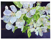 Load image into Gallery viewer, APPLE BLOSSOM - Fine Art Print

