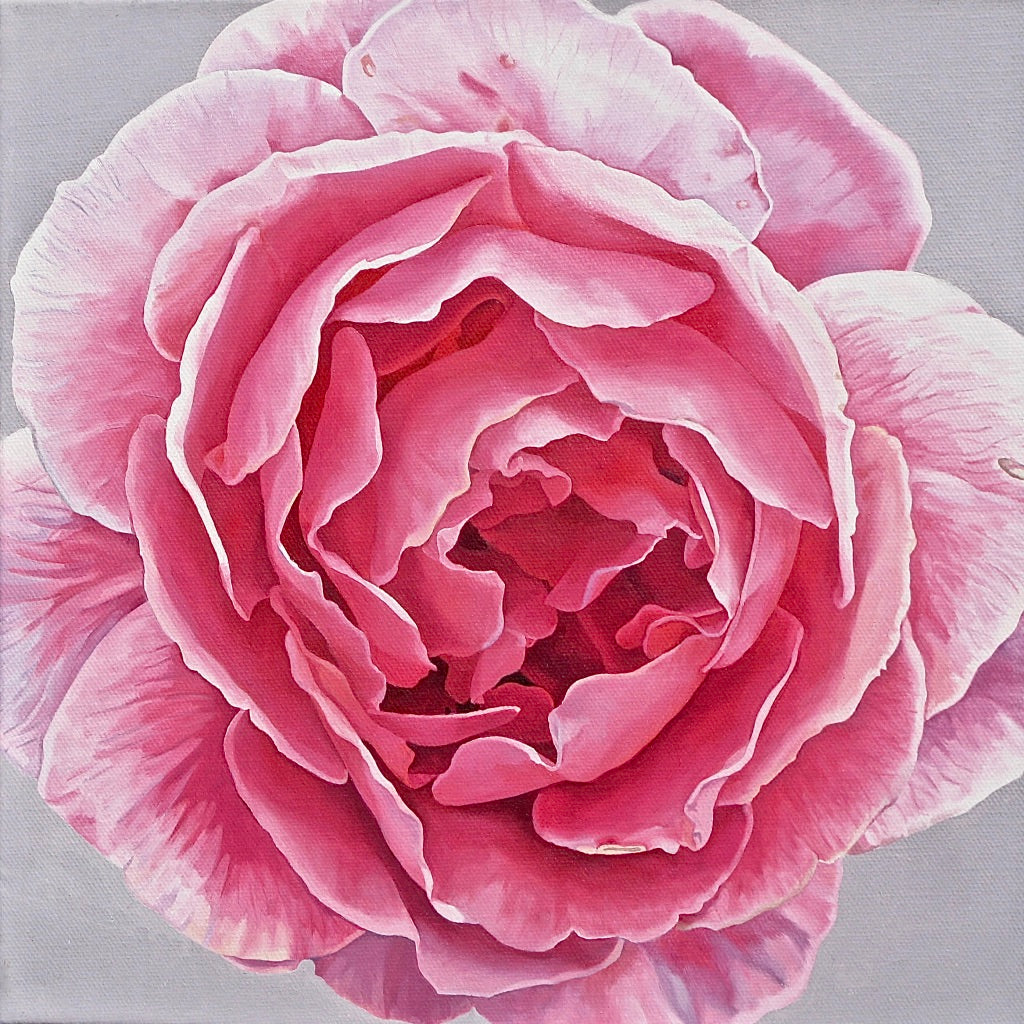 PINK ROSE - Original Painting