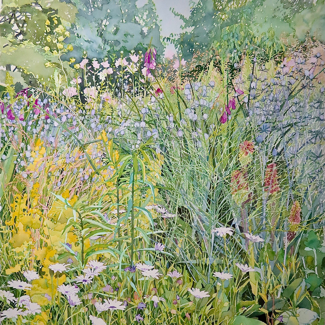 OXFORD BOTANICAL GARDENS - Greetings Card