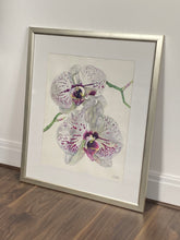 Load image into Gallery viewer, MOTH ORCHID - Original Painting
