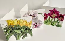 Load image into Gallery viewer, MOTH ORCHID - Greetings Card
