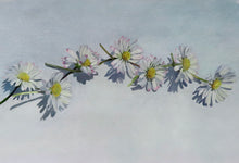 Load image into Gallery viewer, DAISY CHAIN - Original Painting
